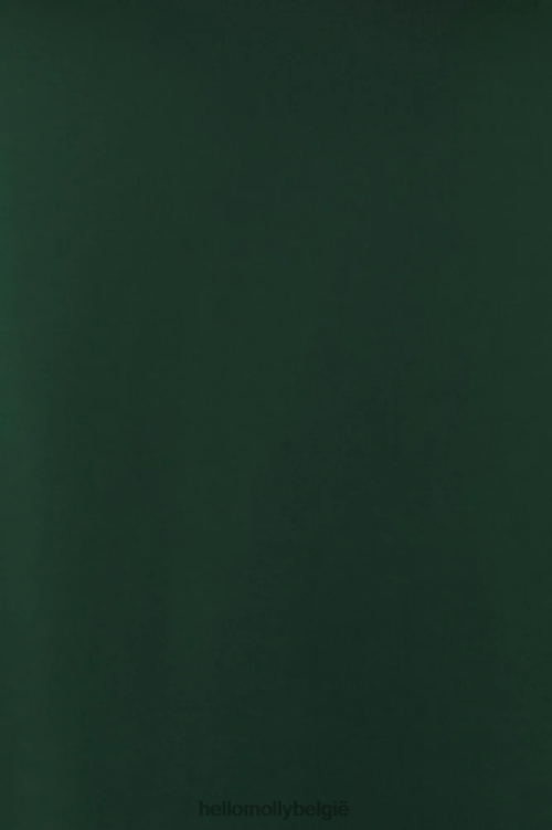 kleding Hello Molly bullseye maxi jurk bosgroen XR2L7132