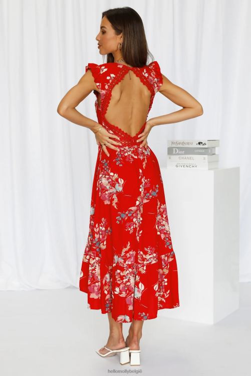kleding Hello Molly Harbour Side Fun Maxi Jurk Rood XR2L6787