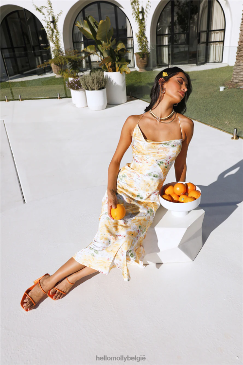 kleding Hello Molly Irene maxi-jurk met bloemenprint XR2L6642