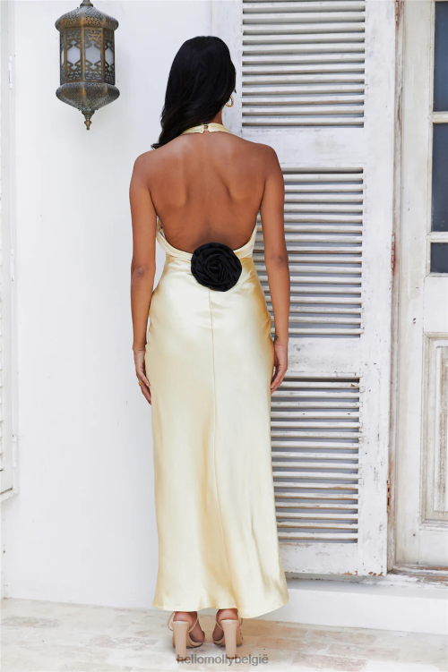 kleding Hello Molly aangekomen in luxe maxi-jurk geel XR2L6196