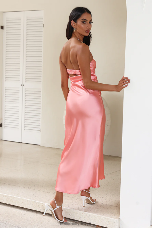 kleding Hello Molly gebonden verbinding satijnen maxi-jurk roze XR2L5763