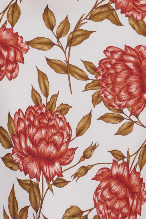 kleding Hello Molly love and rule jurkje beige XR2L5230