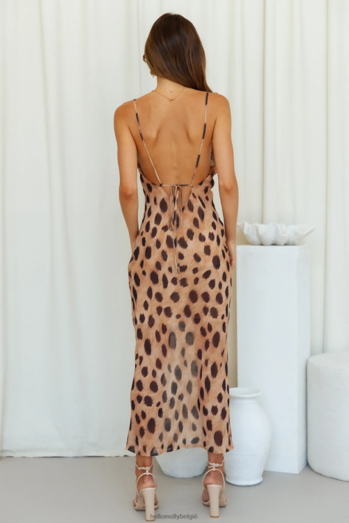 kleding Hello Molly sndys instinct jurkje luipaard XR2L4154