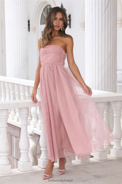 kleding Hello Molly walk in tule maxi jurk roze XR2L6144