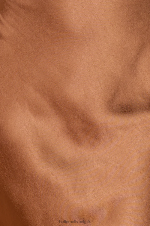 kleding Hello Molly zijden statement satijnen maxi-jurk bruin XR2L5923