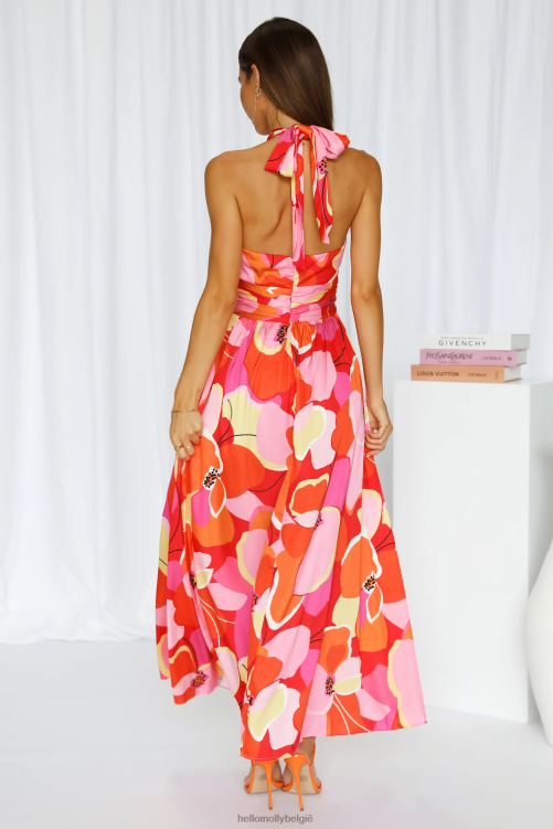 kleding Hello Molly Amethyst Tales midi-jurk multi XR2L3580