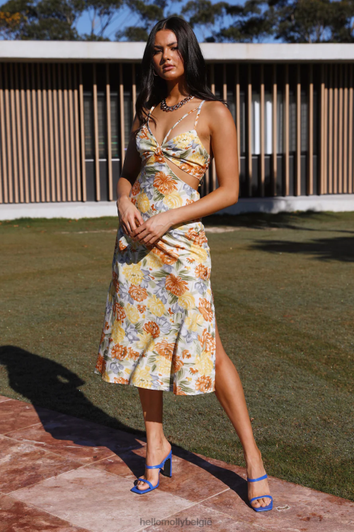 kleding Hello Molly Soulful Lives midi-jurk met bloemenprint XR2L5272