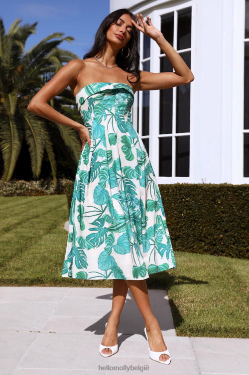 kleding Hello Molly by kaarslicht midi-jurk groen XR2L4099