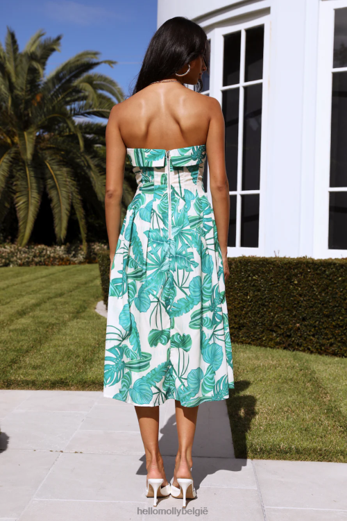 kleding Hello Molly by kaarslicht midi-jurk groen XR2L4099