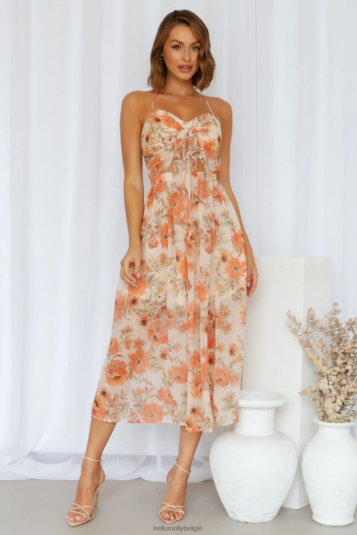 kleding Hello Molly natural lover midi-jurk beige XR2L4167