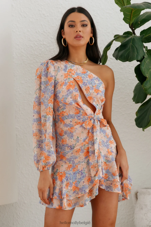 kleding Hello Molly de lieve levensjurk bloemig XR2L2084