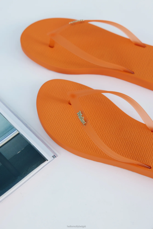schoenen Hello Molly Melissa Sun Venice teenslippers oranje XR2L9989